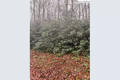 Tbd Buckeye Creek Road, Beech Mountain, NC 28622 - Photo 1