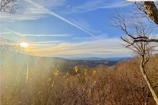 114 Spruce Hollow Rd, Beech Mountain, NC 28604 - Photo 49