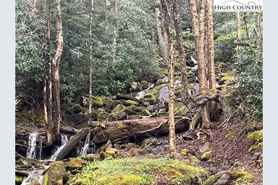 191 Mossy Creek Lane, Sugar Mountain, NC 28604 - Photo 43