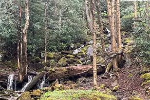 191 Mossy Creek Ln, Sugar Mountain, NC 28604 - Photo 43