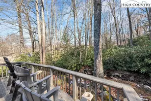 191 Mossy Creek Ln, Sugar Mountain, NC 28604 - Photo 7