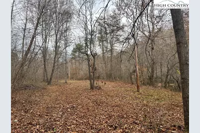 0 Rooley Lane, Dobson, NC 27017 - Photo 45