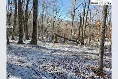 107 Spring Branch Road, Beech Mountain, NC 28604 - Photo 1