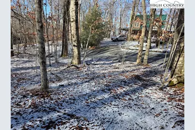107 Spring Branch Road, Beech Mountain, NC 28604 - Photo 3