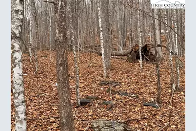 Lot 28 Elk Creek Mountain Parkway, Todd, NC 28684 - Photo 3