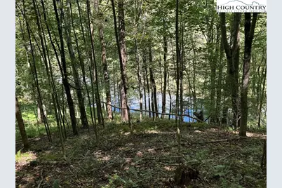 63 Village Pine Drive, Jefferson, NC 28640 - Photo 29