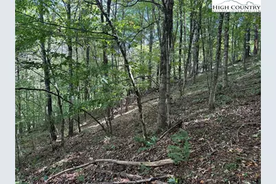 63 Village Pine Drive, Jefferson, NC 28640 - Photo 25