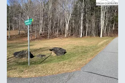 Tbd Pineview Drive, Boone, NC 28607 - Photo 3