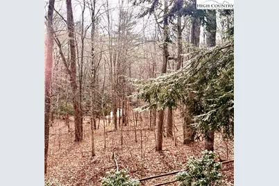 12 Yarrow Loop, Newland, NC 28657 - Photo 35