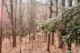 12 Yarrow Loop, Newland, NC 28657 - Photo 35