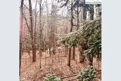 12 Yarrow Loop, Newland, NC 28657 - Photo 37