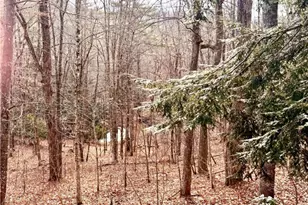 12 Yarrow Loop, Newland, NC 28657 - Photo 37