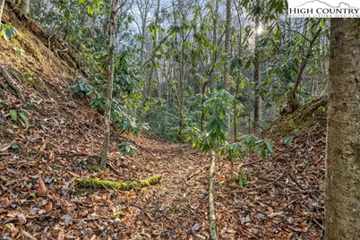 2881 Brigadoon Lane, Lenoir, NC 28645 - Photo 49