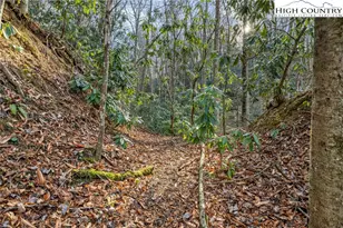 2881 Brigadoon Ln, Lenoir, NC 28645 - Photo 49