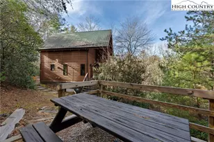 100 Bear Den Mountain View Dr, Spruce Pine, NC 28777 - Photo 23