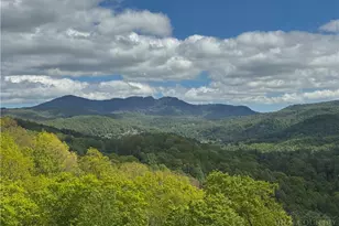 311 Penny Ln, Banner Elk, NC 28604 - Photo 3