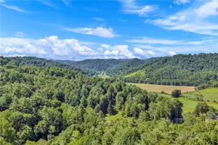 3606 Nc Hwy 194 S, Sugar Grove, NC 28679 - Photo 29