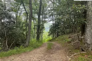 3606 Nc Hwy 194 S, Sugar Grove, NC 28679 - Photo 35