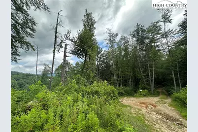 3606 Nc Highway 194 S, Sugar Grove, NC 28679 - Photo 21