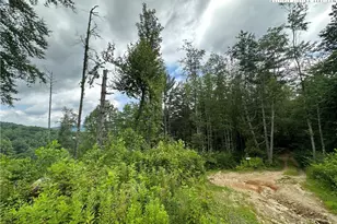 3606 Nc Hwy 194 S, Sugar Grove, NC 28679 - Photo 21