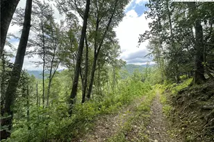 3606 Nc Hwy 194 S, Sugar Grove, NC 28679 - Photo 23