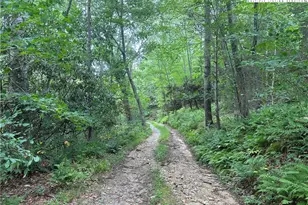 3606 Nc Hwy 194 S, Sugar Grove, NC 28679 - Photo 33