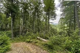 3606 Nc Hwy 194 S, Sugar Grove, NC 28679 - Photo 33