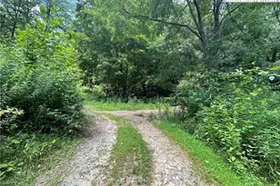 3606 Nc Hwy 194 S, Sugar Grove, NC 28679 - Photo 29