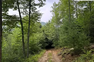 3606 Nc Hwy 194 S, Sugar Grove, NC 28679 - Photo 31