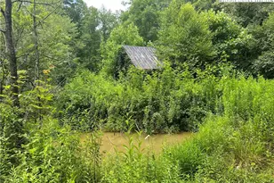 3606 Nc Hwy 194 S, Sugar Grove, NC 28679 - Photo 31