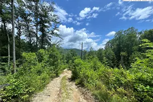 3606 Nc Hwy 194 S, Sugar Grove, NC 28679 - Photo 13