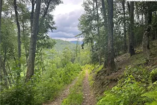 3606 Nc Hwy 194 S, Sugar Grove, NC 28679 - Photo 11