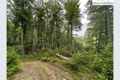 3606 Nc Highway 194 S, Sugar Grove, NC 28679 - Photo 33