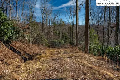 Tbd Stacy Lane, Banner Elk, NC 28604 - Photo 5