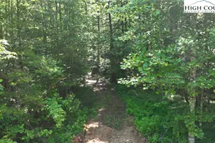 2967 & 2941 Roby Martin Rd, Lenoir, NC 28645 - Photo 39