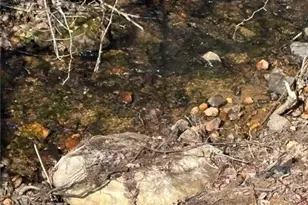 23 Millards Wy, Sparta, NC 28675 - Photo 5