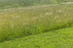 23 Millards Wy, Sparta, NC 28675 - Photo 27