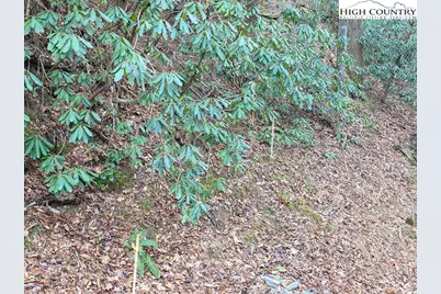 Lot 106 Holleridge Road, Ferguson, NC 28624 - Photo 23