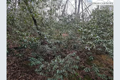 Lot 106 Holleridge Road, Ferguson, NC 28624 - Photo 7