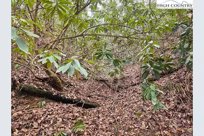 Lot 105 Holleridge Road, Ferguson, NC 28624 - Photo 5