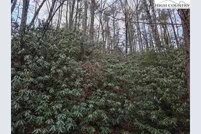 Lot 105 Holleridge Road, Ferguson, NC 28624 - Photo 9