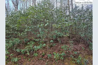 Lot 105 Holleridge Road, Ferguson, NC 28624 - Photo 19