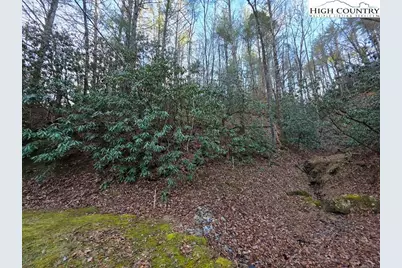 Lot 105 Holleridge Road, Ferguson, NC 28624 - Photo 25