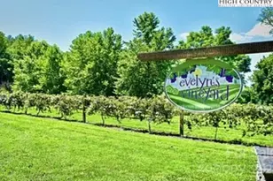 1989 Johns Ridge Pkwy, Lenoir, NC 28645 - Photo 49