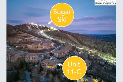 120 Pleasant View Boulevard #11C, Sugar Mountain, NC 28604 - Photo 3