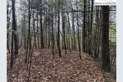 Lot 21 Buck Mountain Road, Purlear, NC 28665 - Photo 15