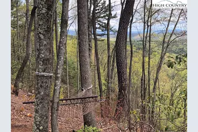 Lot 21 Buck Mountain Road, Purlear, NC 28665 - Photo 29