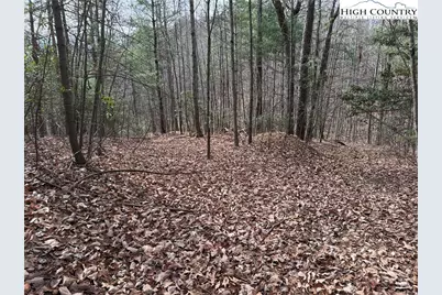 Lot 21 Buck Mountain Road, Purlear, NC 28665 - Photo 11