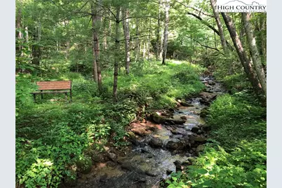 Lot 21 Buck Mountain Road, Purlear, NC 28665 - Photo 35