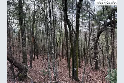 Lot 21 Buck Mountain Road, Purlear, NC 28665 - Photo 17